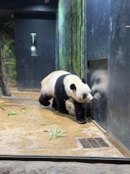 恩賜上野動物園に投稿された画像（2025/12/25）