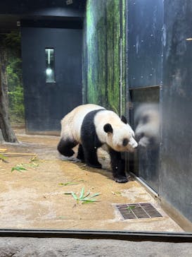 恩賜上野動物園に投稿された画像（2025/12/25）