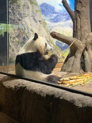 恩賜上野動物園に投稿された画像（2025/12/25）