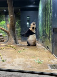 恩賜上野動物園に投稿された画像（2025/12/25）