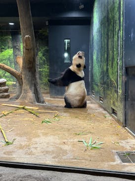 恩賜上野動物園に投稿された画像（2025/12/25）