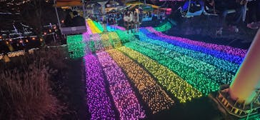 さがみ湖MORI MORIに投稿された画像（2025/12/25）