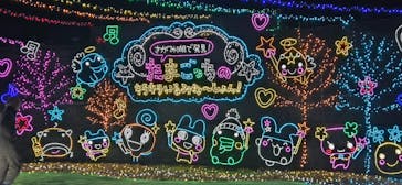 さがみ湖MORI MORIに投稿された画像（2025/12/25）