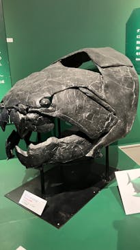 特別展「大絶滅展―生命史のビッグファイブ」に投稿された画像（2025/12/25）