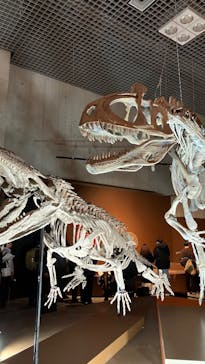 特別展「大絶滅展―生命史のビッグファイブ」に投稿された画像（2025/12/25）