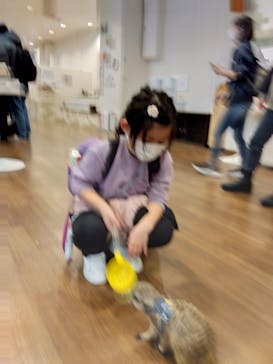 アニタッチみなとみらいに投稿された画像（2025/12/25）