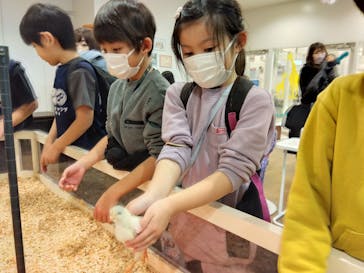 アニタッチみなとみらいに投稿された画像（2025/12/25）