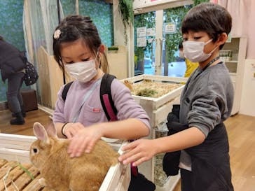 アニタッチみなとみらいに投稿された画像（2025/12/25）