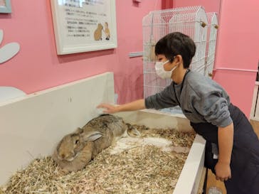 アニタッチみなとみらいに投稿された画像（2025/12/25）