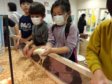 アニタッチみなとみらいに投稿された画像（2025/12/25）