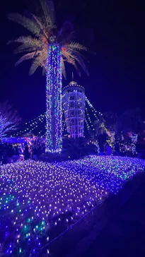 江の島シーキャンドルに投稿された画像（2025/12/25）