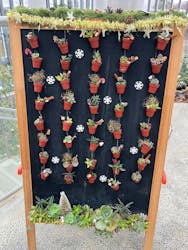 淡路夢舞台公苑温室あわじグリーン館に投稿された画像（2025/12/25）