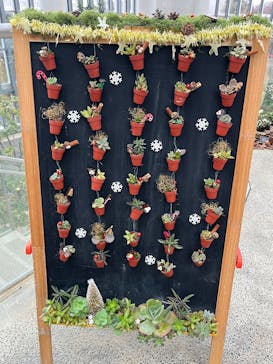 淡路夢舞台公苑温室あわじグリーン館に投稿された画像（2025/12/25）