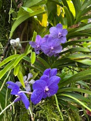 淡路夢舞台公苑温室あわじグリーン館に投稿された画像（2025/12/25）