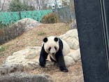 恩賜上野動物園に投稿された画像（2025/12/25）