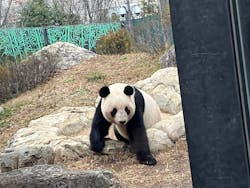 恩賜上野動物園に投稿された画像（2025/12/25）