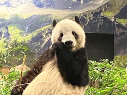 恩賜上野動物園に投稿された画像（2025/12/25）