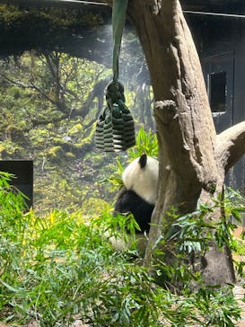 恩賜上野動物園に投稿された画像（2025/12/25）