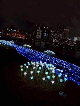 Christmas Market in 横浜赤レンガ倉庫 2025に投稿された画像（2025/12/25）