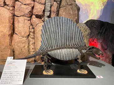 特別展「大絶滅展―生命史のビッグファイブ」に投稿された画像（2025/12/25）
