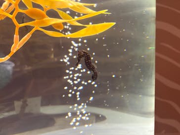 NIFREL（ニフレル）に投稿された画像（2025/12/25）