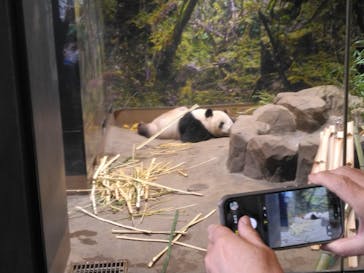 恩賜上野動物園に投稿された画像（2025/12/25）