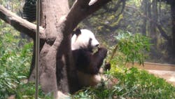 恩賜上野動物園に投稿された画像（2025/12/25）