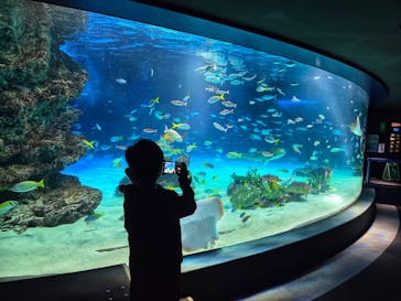 サンシャイン水族館に投稿された画像（2025/12/25）