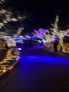 ひらかたパークに投稿された画像（2025/12/25）