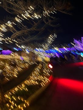 ひらかたパークに投稿された画像（2025/12/25）