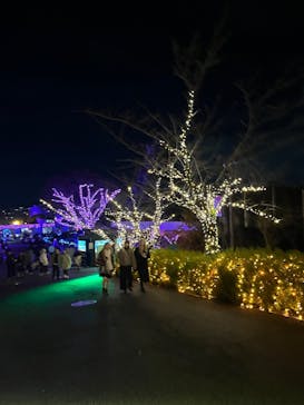 ひらかたパークに投稿された画像（2025/12/25）