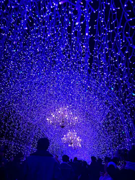 江の島シーキャンドルに投稿された画像（2025/12/25）