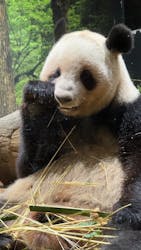 恩賜上野動物園に投稿された画像（2025/12/25）