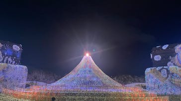 なばなの里に投稿された画像（2025/12/25）