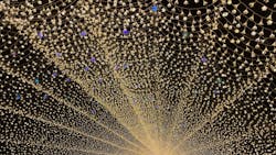 なばなの里に投稿された画像（2025/12/25）