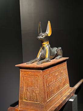 MYSTERY OF TUTANKHAMEN 体感型古代エジプト展に投稿された画像（2025/12/25）