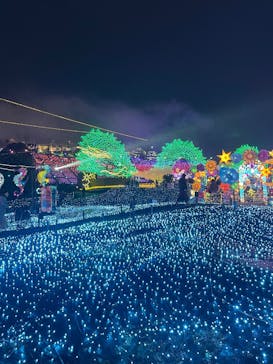 伊豆高原グランイルミに投稿された画像（2025/12/25）