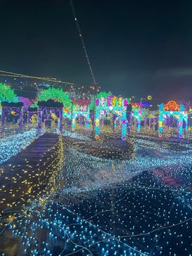 伊豆高原グランイルミに投稿された画像（2025/12/25）