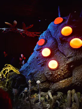 金曜ロードショーとジブリ展（静岡展）に投稿された画像（2025/12/25）