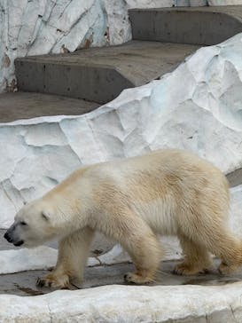 恩賜上野動物園に投稿された画像（2025/12/25）