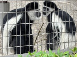 恩賜上野動物園に投稿された画像（2025/12/25）