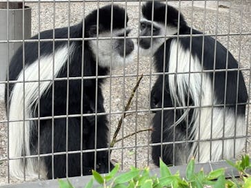 恩賜上野動物園に投稿された画像（2025/12/25）