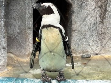 恩賜上野動物園に投稿された画像（2025/12/25）