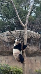 恩賜上野動物園に投稿された画像（2025/12/25）