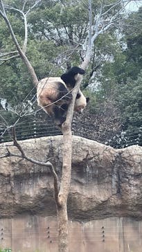 恩賜上野動物園に投稿された画像（2025/12/25）