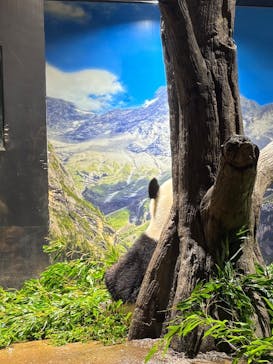 恩賜上野動物園に投稿された画像（2025/12/25）