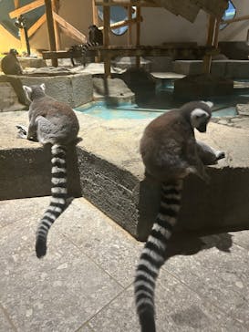 NIFREL（ニフレル）に投稿された画像（2025/12/25）