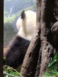 恩賜上野動物園に投稿された画像（2025/12/25）