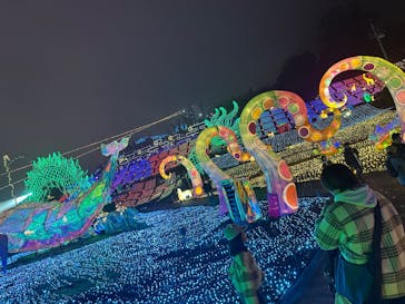 伊豆高原グランイルミに投稿された画像（2025/12/25）