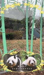 恩賜上野動物園に投稿された画像（2025/12/25）